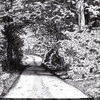An original pen drawing by Matthew Eyles