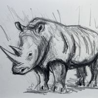 World Rhino Day