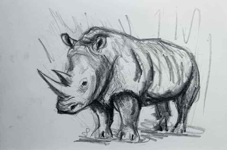 World Rhino Day