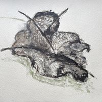 The Remains of Leaves - My Tatty Artwork - Andy Mata