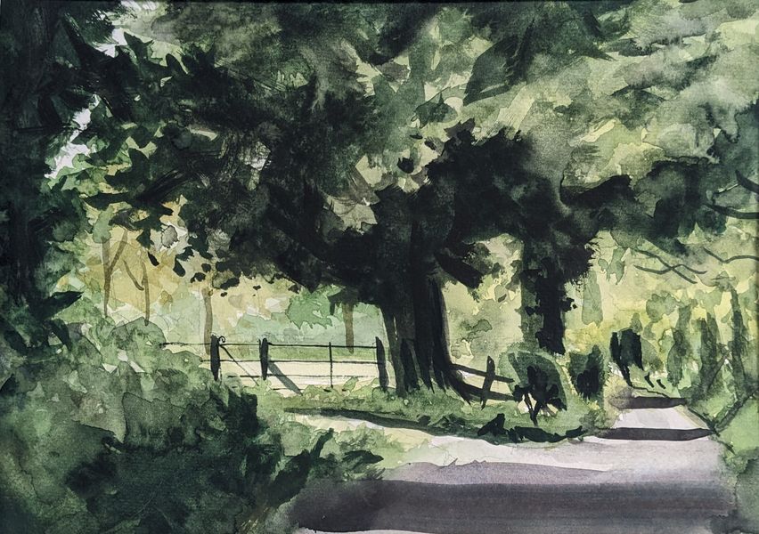 An original watercolour painting by Matthew Eyles showing summer trees on Havernook Lane in Wensleydale