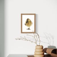 coloured pencil drawing of a duckling with one foot in the air by Katrina Thompson