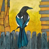 A magpie on a dry stone wall