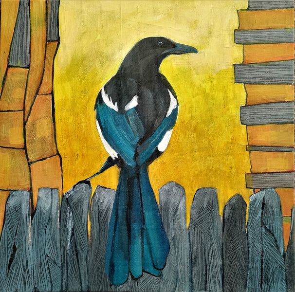 A magpie on a dry stone wall