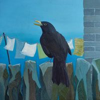 A blackbird on a dry stone wall with washing line