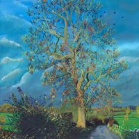 Ash Tree by Howson Laithe on road to Hetton