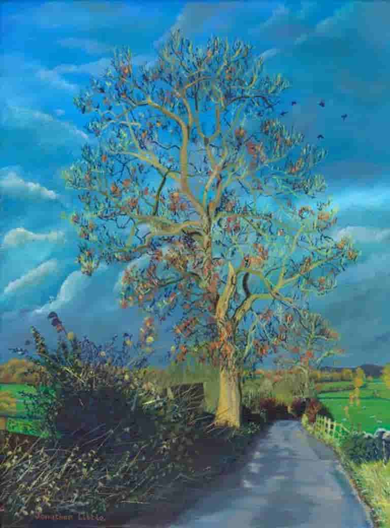 Ash Tree by Howson Laithe on road to Hetton
