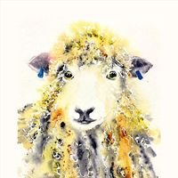 Cotswold sheep cushion