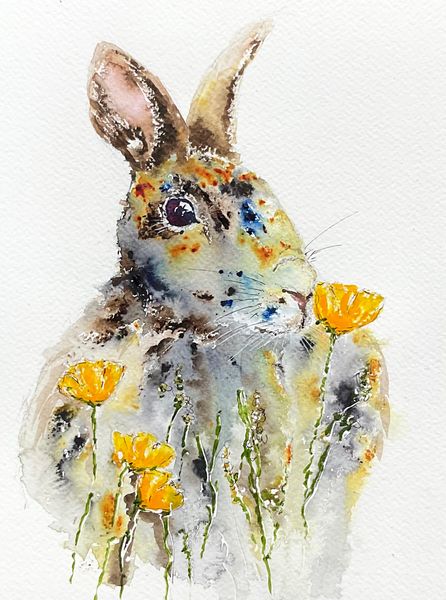 Rabbit