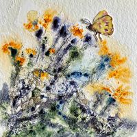 Butterflies - Autumn 