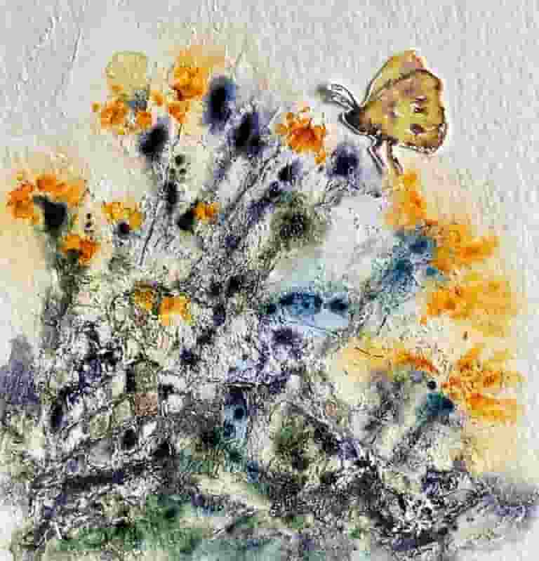 Butterflies - Autumn