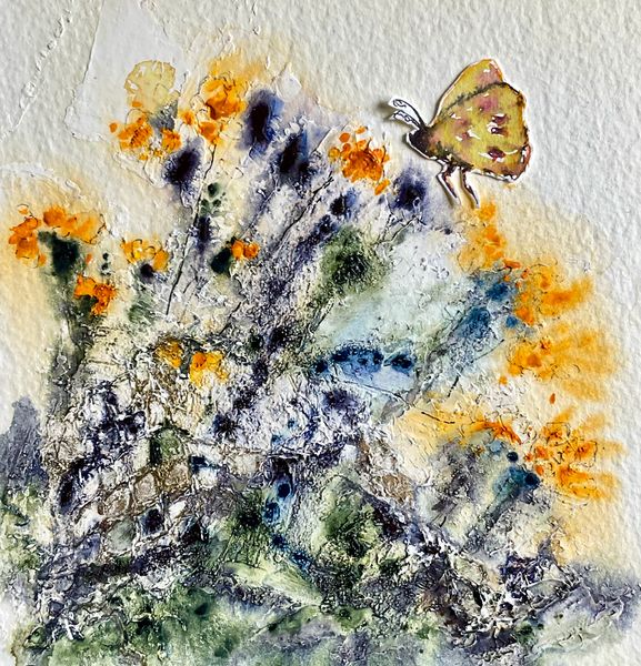 Butterflies - Autumn 