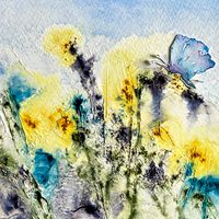 Butterfly in summer card