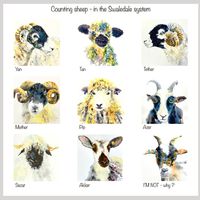 Counting sheep 