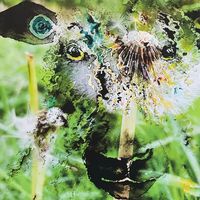 Dandelion is a canvas print of artwork by artist Bev Parker