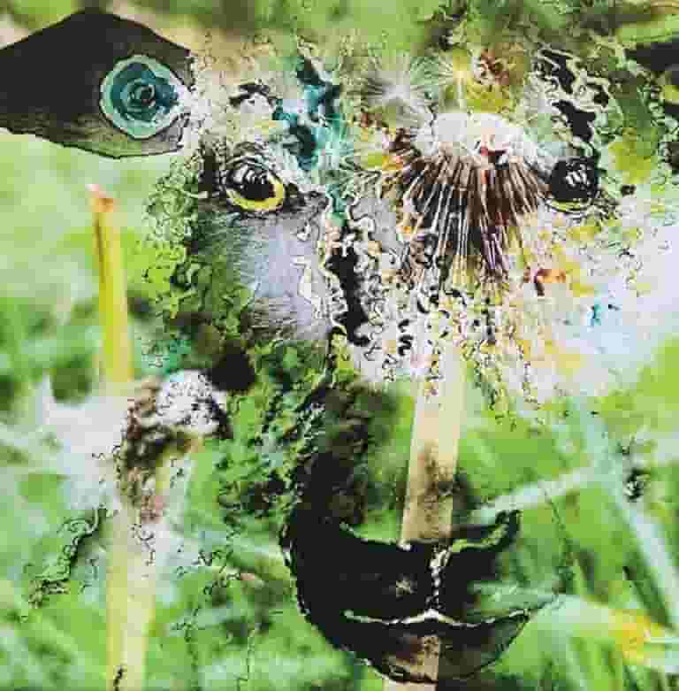 Dandelion is a canvas print of artwork by artist Bev Parker