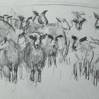 Compositional sketch of sheep.