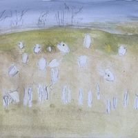 Fourth state - After the sheep-dip!