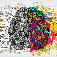 The left brain and right brain