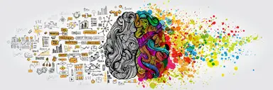 The left brain and right brain