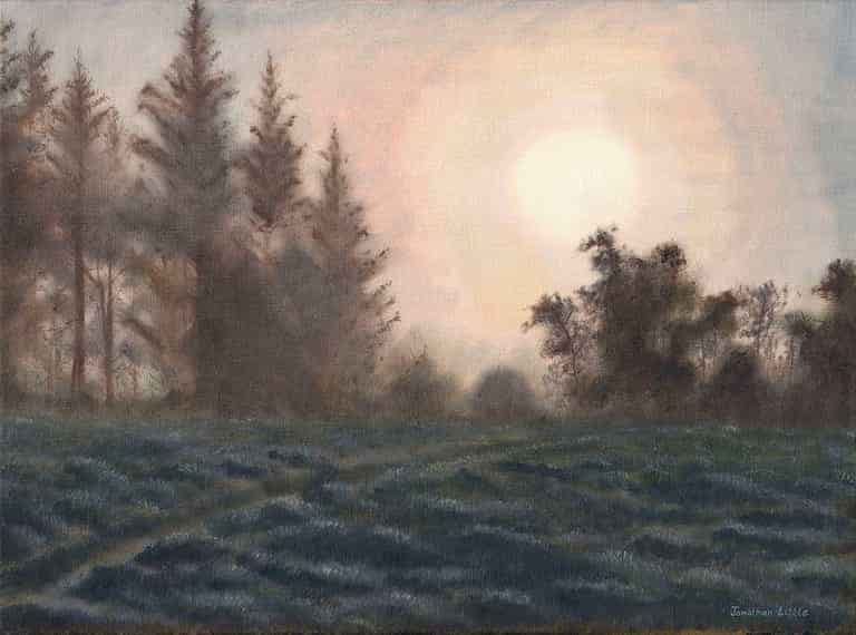 Early Light Through Mist, High Wood Flasby, Yorkshire Dales. Original oil on linen canvas painting by Jonathan Little
