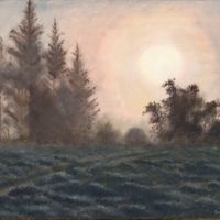 Early light through mist