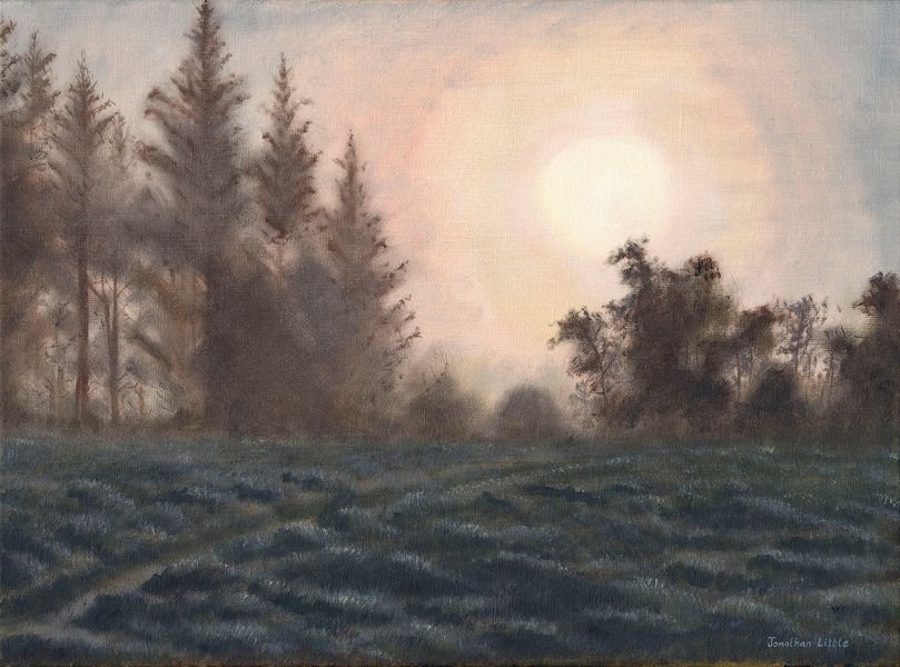 Early light through mist at High Wood, Flasby, Yorkshire Dales, original oil painting by Jonathan Little