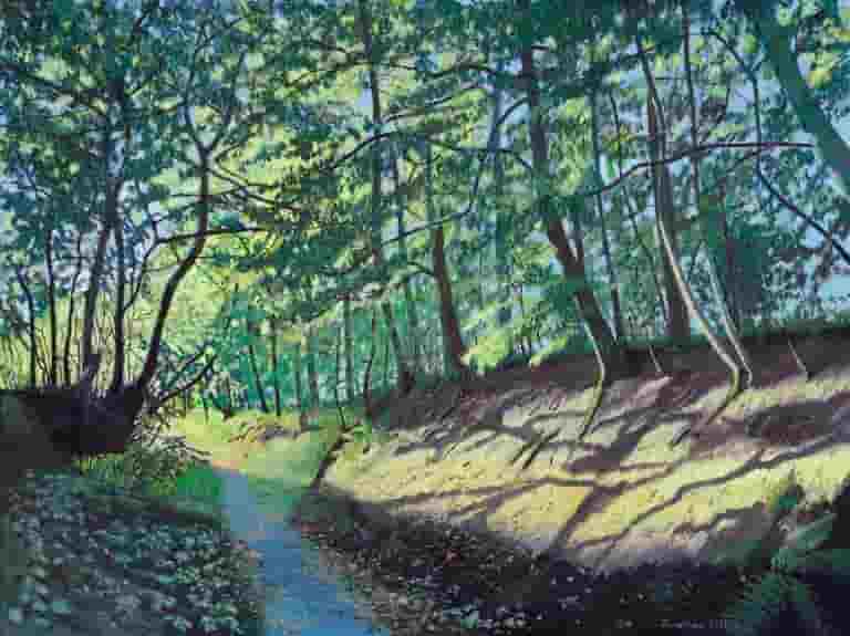 Early Sunlight through Flasby Woods