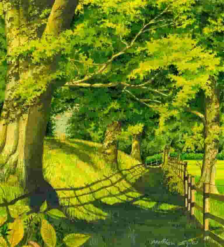 Evening Light on Winterburn Lane