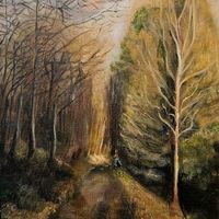 A path through a wood in Autumn.