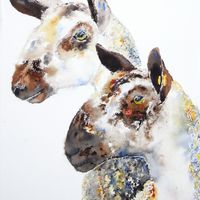 Grandcroft twins
