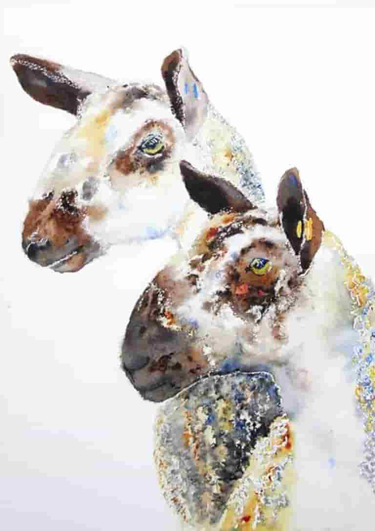 Grandcroft twins
