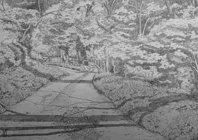 Havernook Lane - Summer