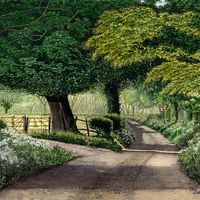 High Summer - Havernook Lane