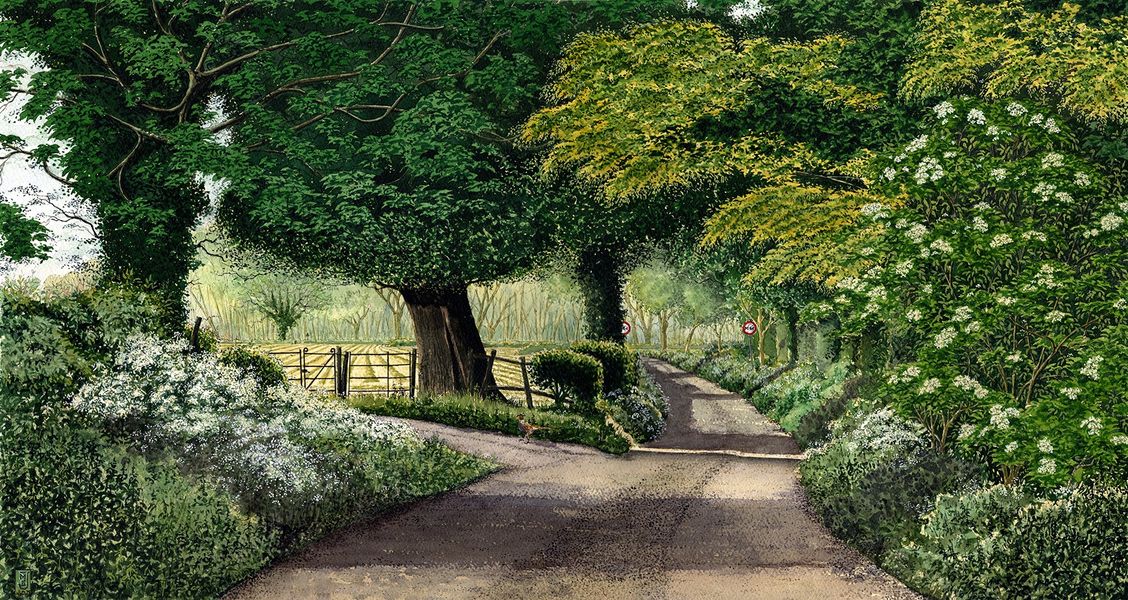 High Summer - Havernook Lane. An original watercolour painting by Matthew Eyles