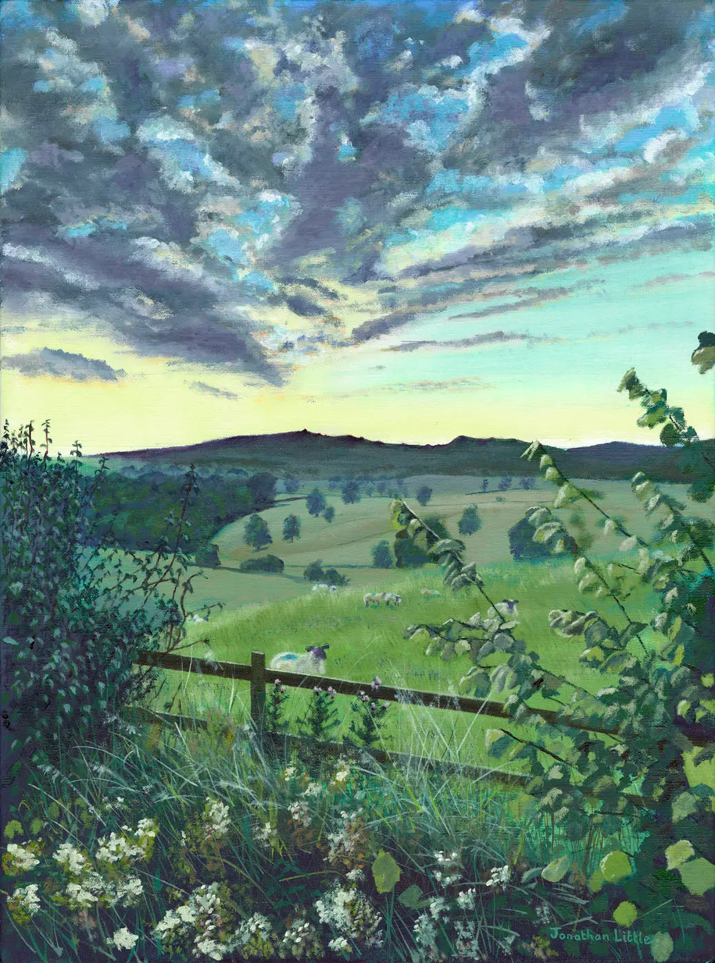 Hedgerow at Gatecliff Brow