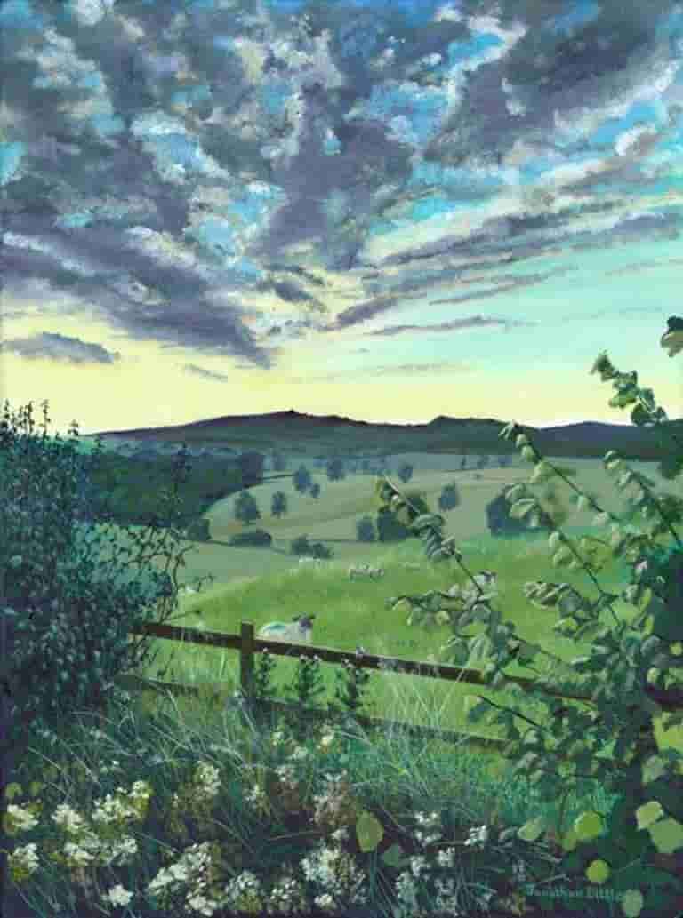 Hedgerow at Gatecliff Brow