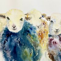 Herdy Girls