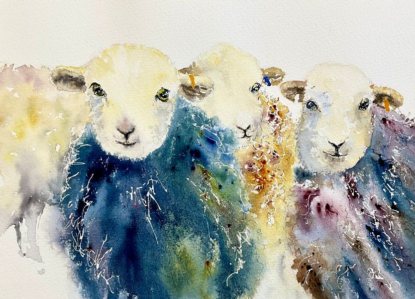 Herdy Girls