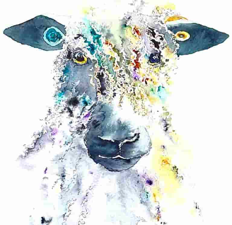 Mopsy the Wensleydale Ewe