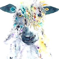 Mopsy - Wensleydale Ewe