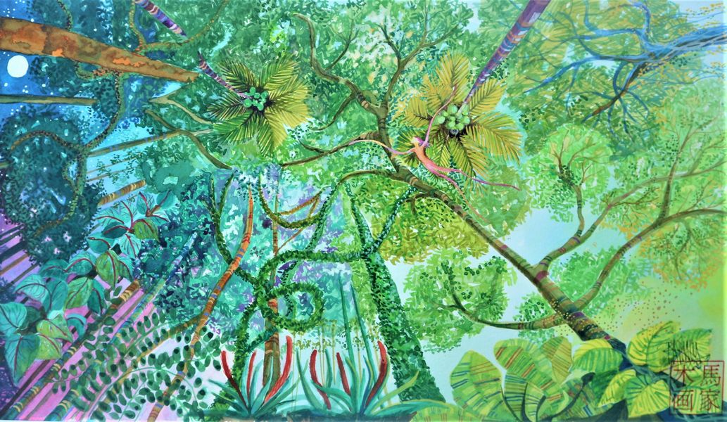 gazing up at the rainforest canopy from dawn to midnight