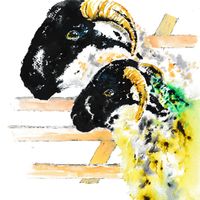 Lonk ewe and lamb
