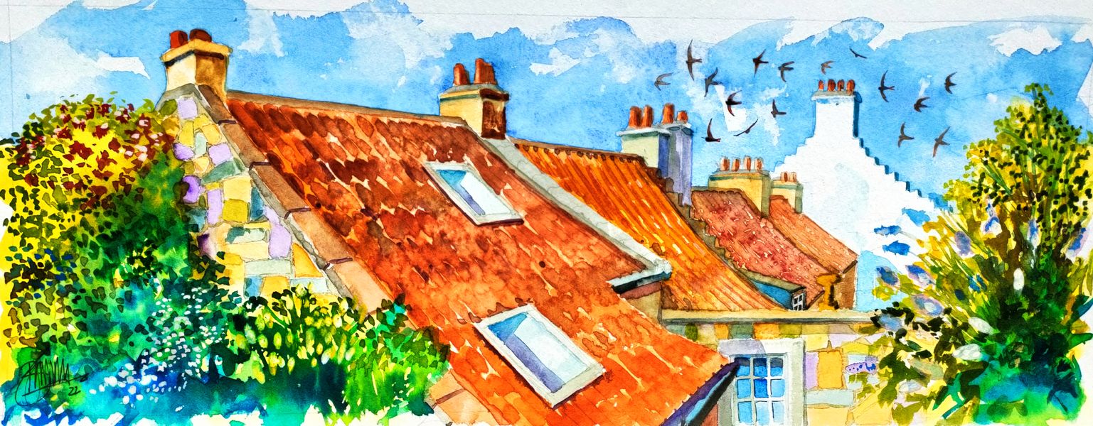 swifts drift over old terracotta tiled rooftops