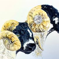 Lonk Rams