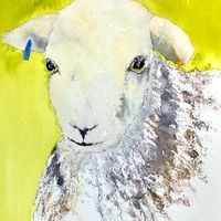 Tuppence the Herdy