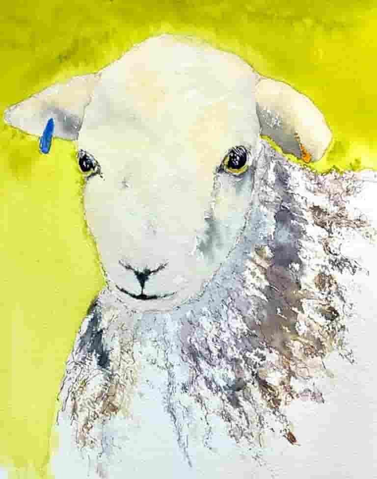 Tuppence the Herdy