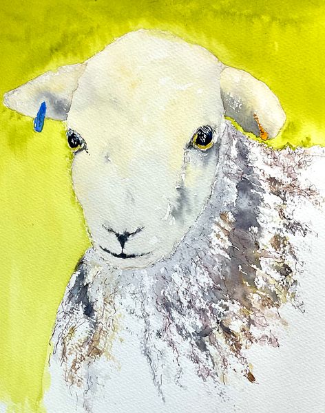 Tuppence the Herdy