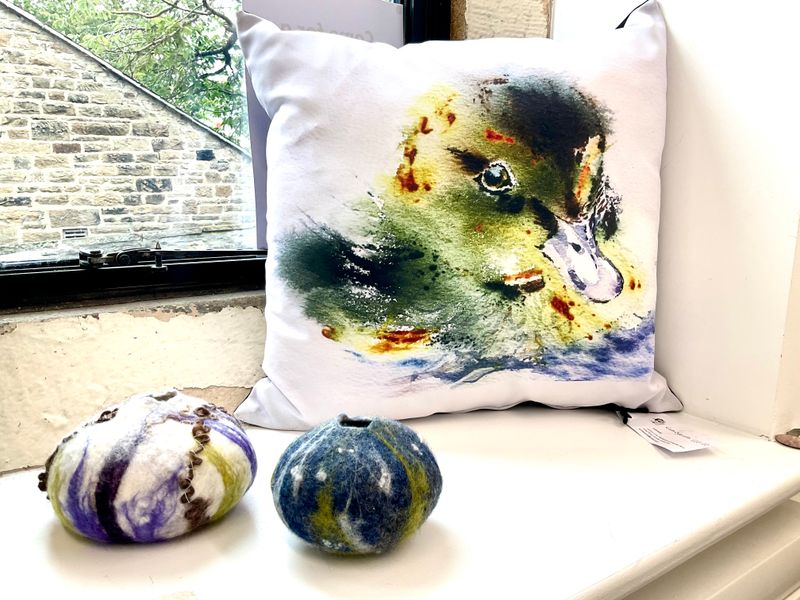 Cheeky cheep cheep Cushion