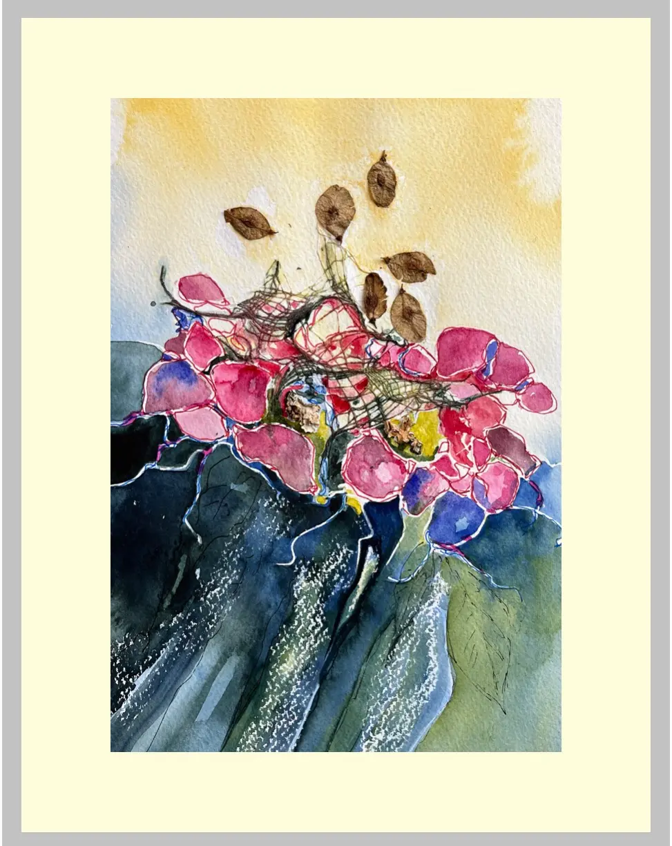 Hydrangea